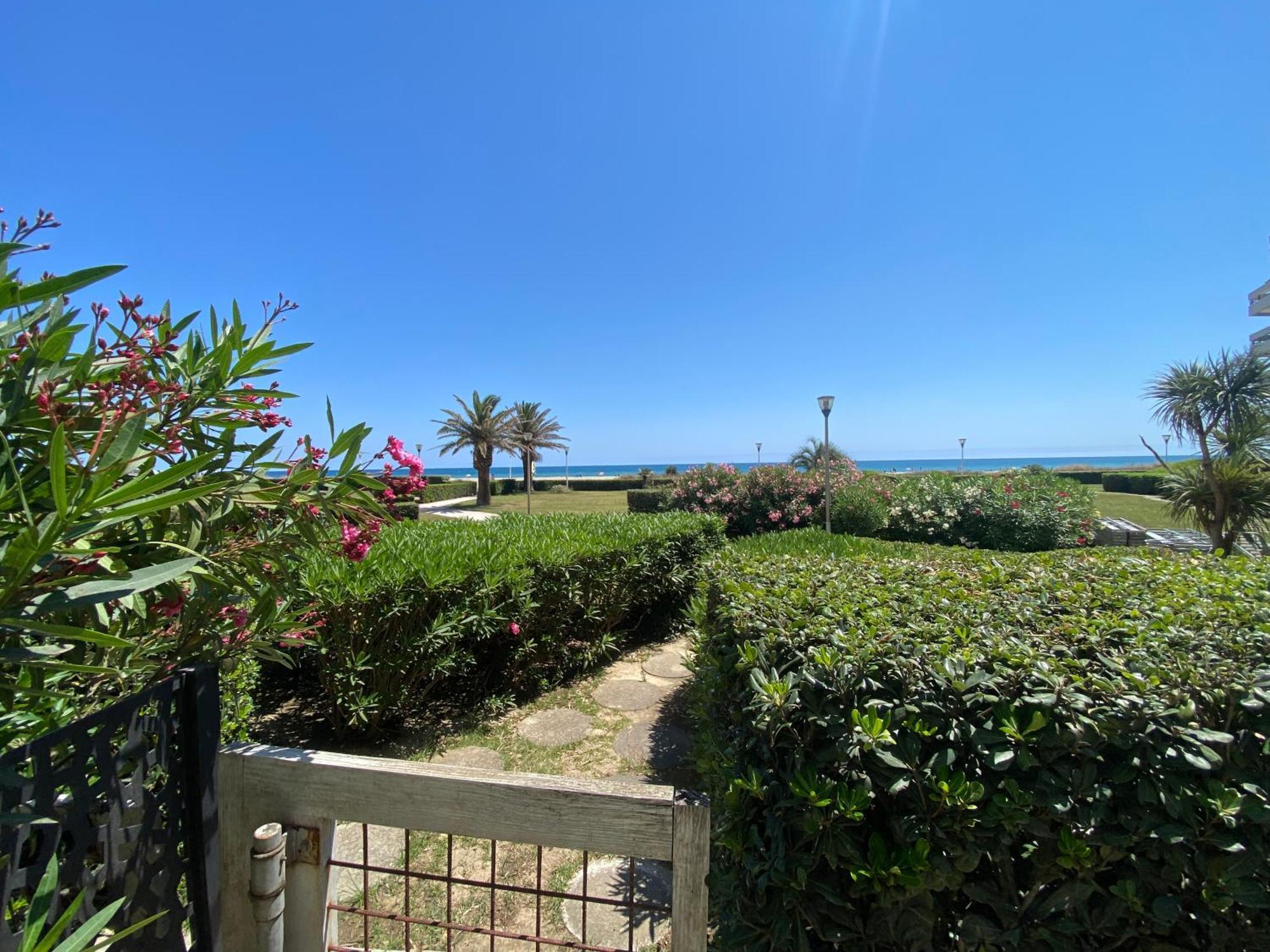 Les Pieds Dans L'Eau Daire Canet-en-Roussillon Dış mekan fotoğraf
